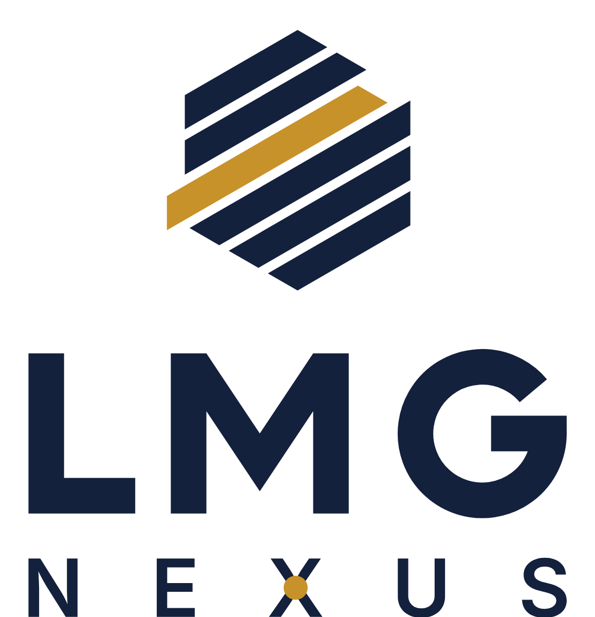 LMG Nexus logo